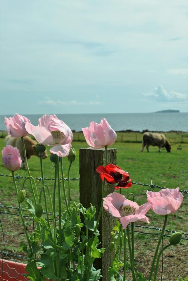 Clover Cottage Countryside Retreat With Sea Views Crail Buitenkant foto